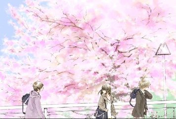 红杏四叶草网站